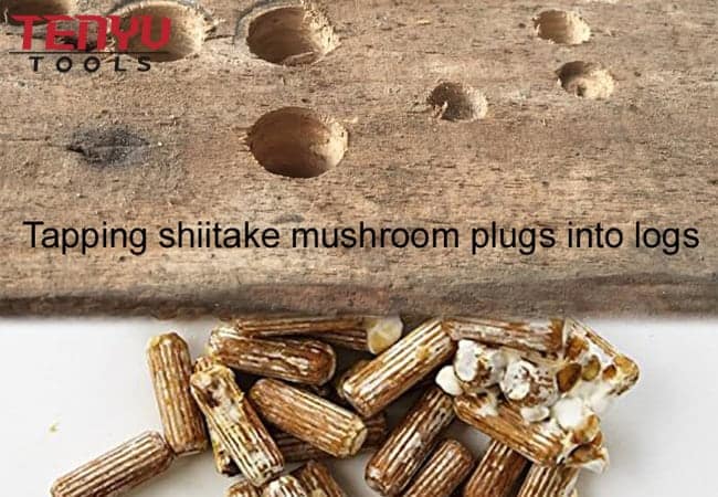 Mushroom Drill Bit for Mushroom Logs Drilling 7