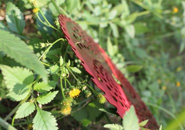 Hoja de corte de hierba