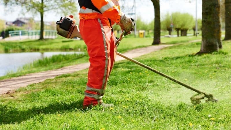 Brush Cutter vs. Grass Trimmer