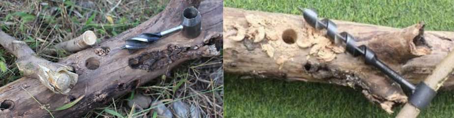 Scotch Eyed Auger Bit