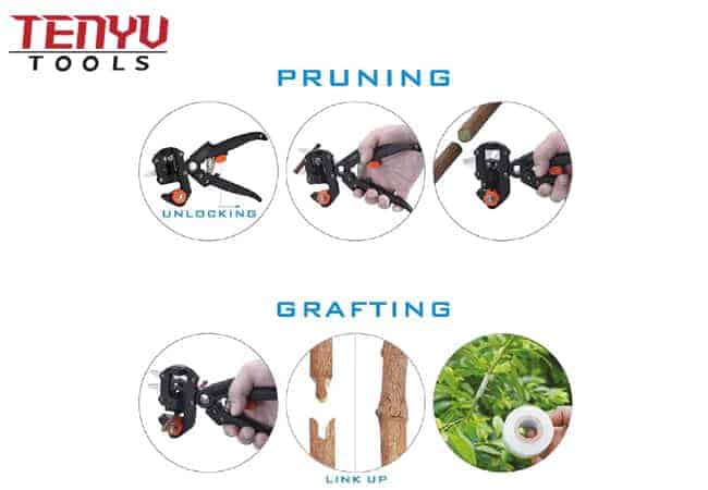 Kit professionnel d'outils de coupe de sécateur d'élagage de greffage de jardin pour des ciseaux de cisailles d'arbre fruitier de vigne de brindille de branche de plante