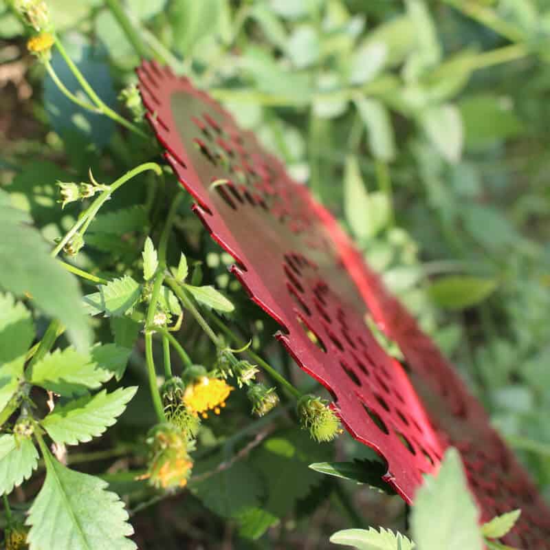 fabricante y proveedor de cuchillas cortadoras de césped