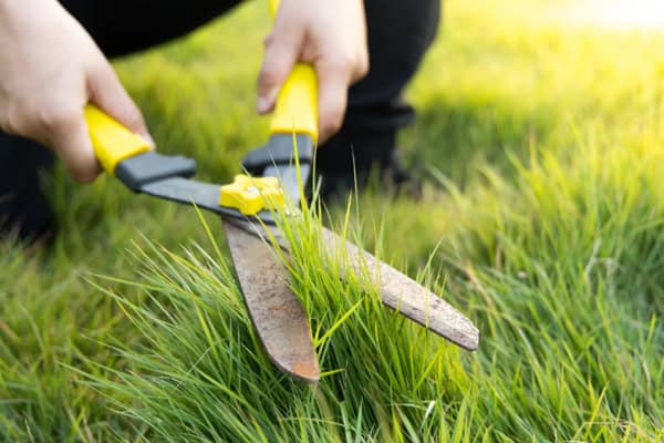 Cutting Thick Grass