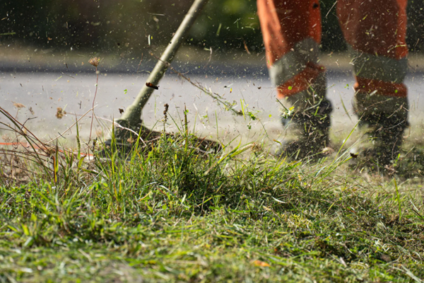 Grass Cutting Blade Tips