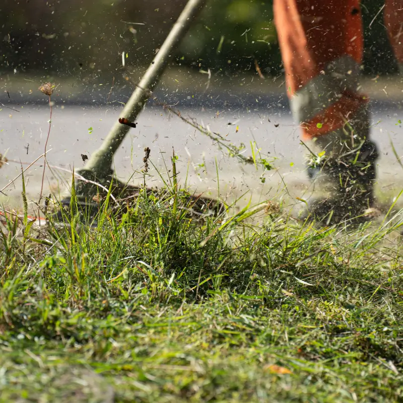 grass cutting circular saw blades